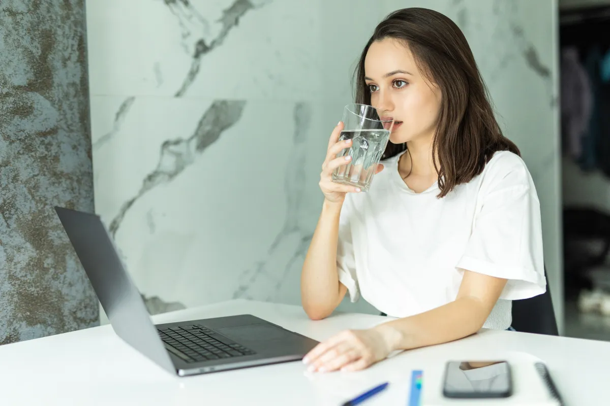 ¿Buscas un surtidor de agua? Te ayudamos a encontrar el ideal para ti